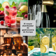 Comercial GGM Gastro GK374UES 347L Bebidas Refrigerador E - Imagen 5