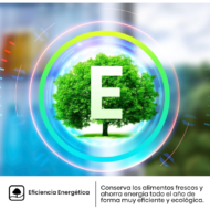 Frigorífico Hisense RS677N4BIE 519L No Frost Inox Americano E - Imagen 8