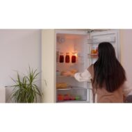 EVVO F55 216L 84L Clase E Beige Frigorífico Combi E - Imagen 4